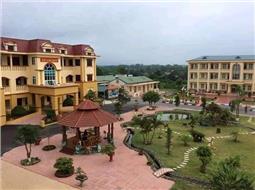 “Sức sống mới” từ một hội thi